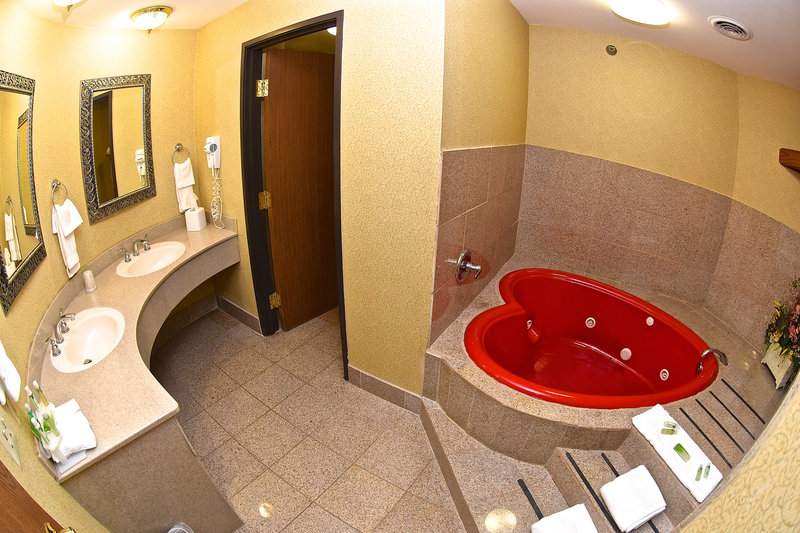 Holiday Inn Express Hotel & Suites Fenton - Fenton, MO