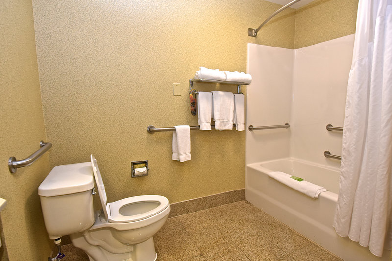 Holiday Inn Express Hotel & Suites Fenton - Fenton, MO