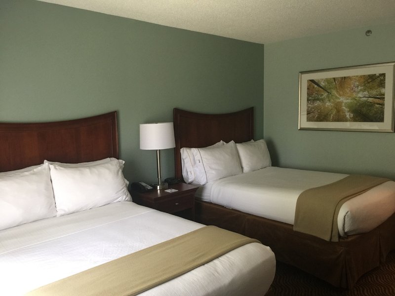Holiday Inn Express BRASELTON - Braselton, GA