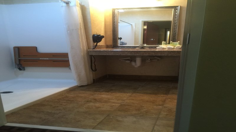 Holiday Inn Express MCCOMB - McComb, MS