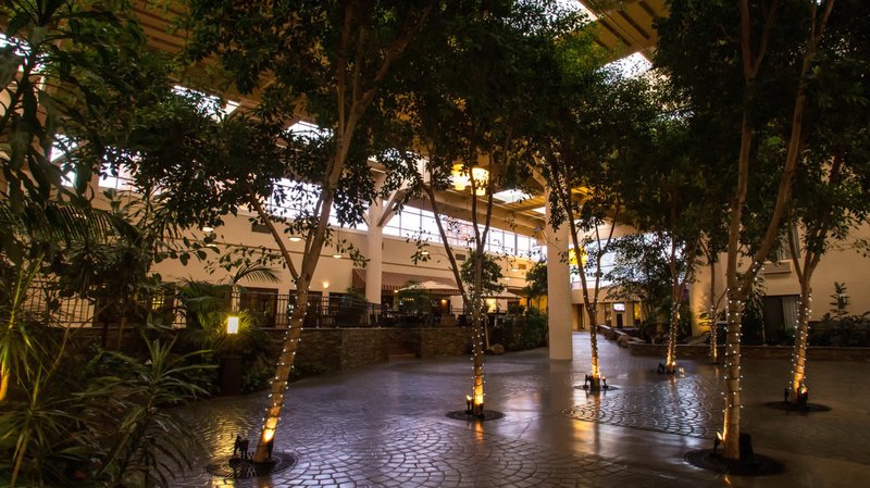 Vineyards Chop House-Crowne Plaza Hotel Concord - Concord, CA