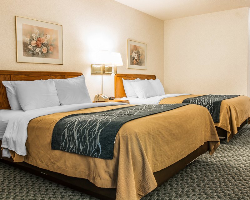 Comfort Inn - Hart, MI