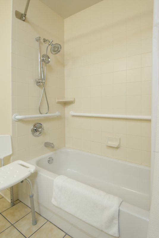 Holiday Inn Express Marshall - Burlington, MI