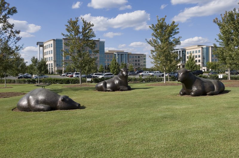 Staybridge Suites CHARLOTTE BALLANTYNE - Charlotte, NC