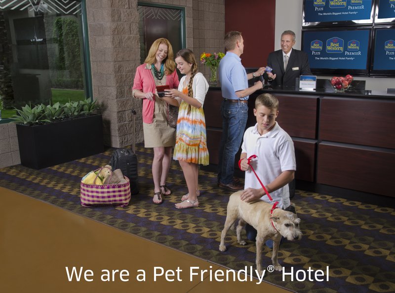 Best Western-Stevens Inn - Carlsbad, NM