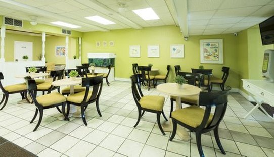Vista Inn & Suites-Tampa - Tampa, FL