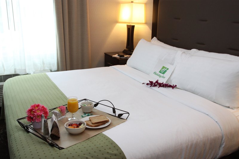 Holiday Inn BUDD LAKE - ROCKAWAY AREA - Mount Tabor, NJ