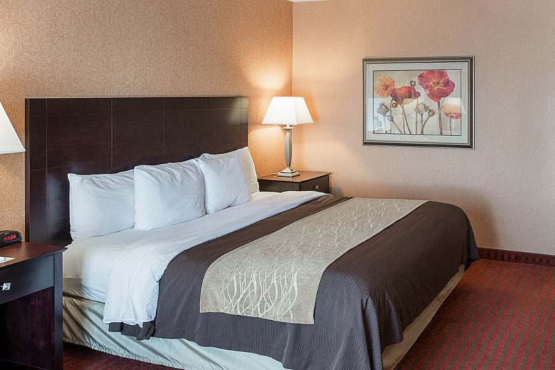 Comfort Inn - Minneapolis, MN