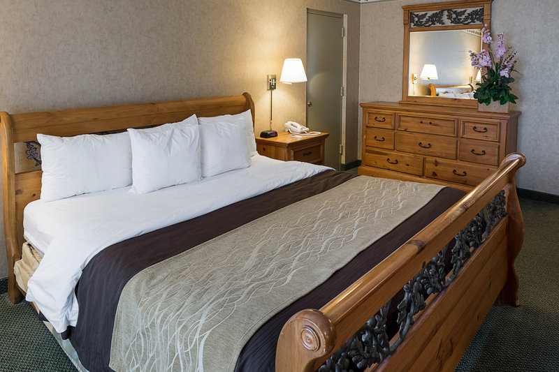 Comfort Inn - Minneapolis, MN