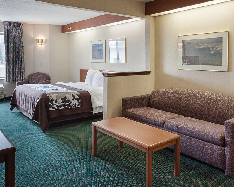 Sleep Inn-Acme/Traverse - Williamsburg, MI