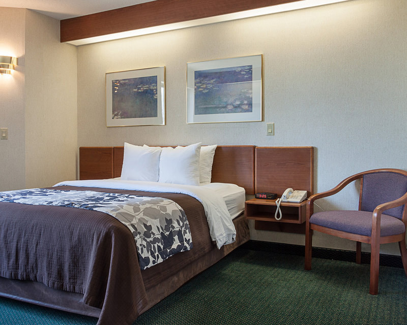 Sleep Inn-Acme/Traverse - Williamsburg, MI