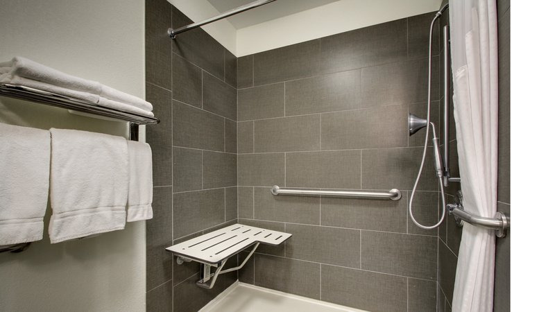 Holiday Inn Express & Suites MERIDIAN - Chunky, MS