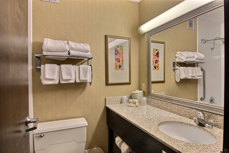 Holiday Inn - Fargo, ND
