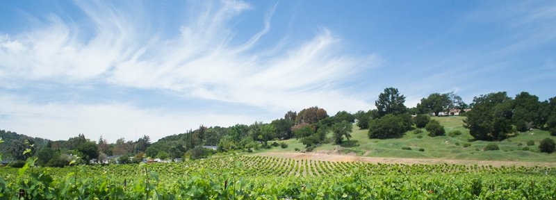 Doubletree By Hilton Hotel Newark-Fremont - Newark, CA