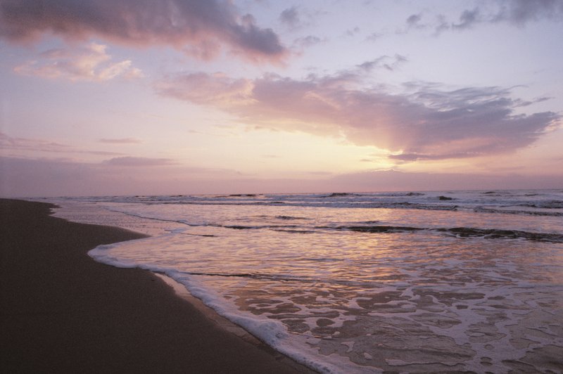 Comfort Inn - South Forest Beach - Hilton Head Island, SC
