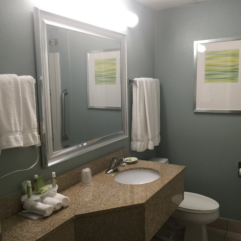 Holiday Inn Express BRASELTON - Braselton, GA