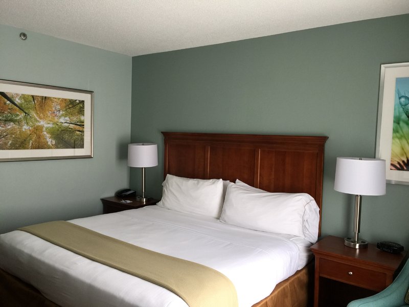 Holiday Inn Express BRASELTON - Braselton, GA