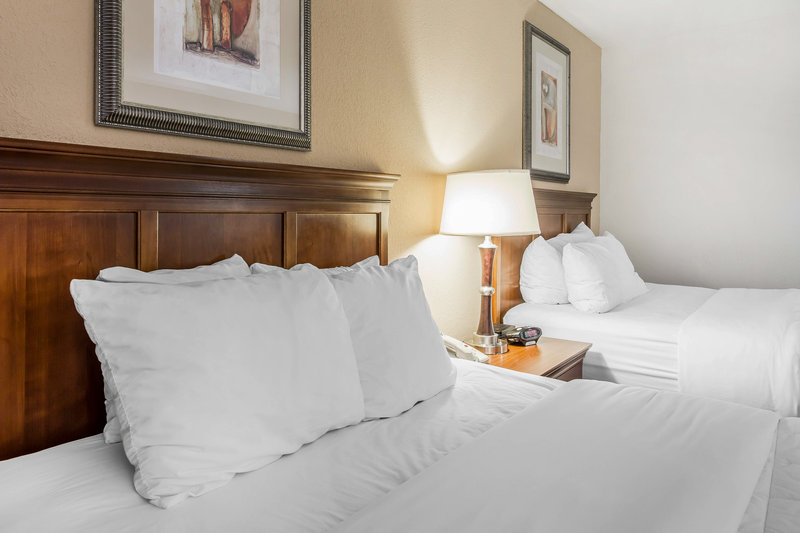 Comfort Inn - Dawsonville, GA