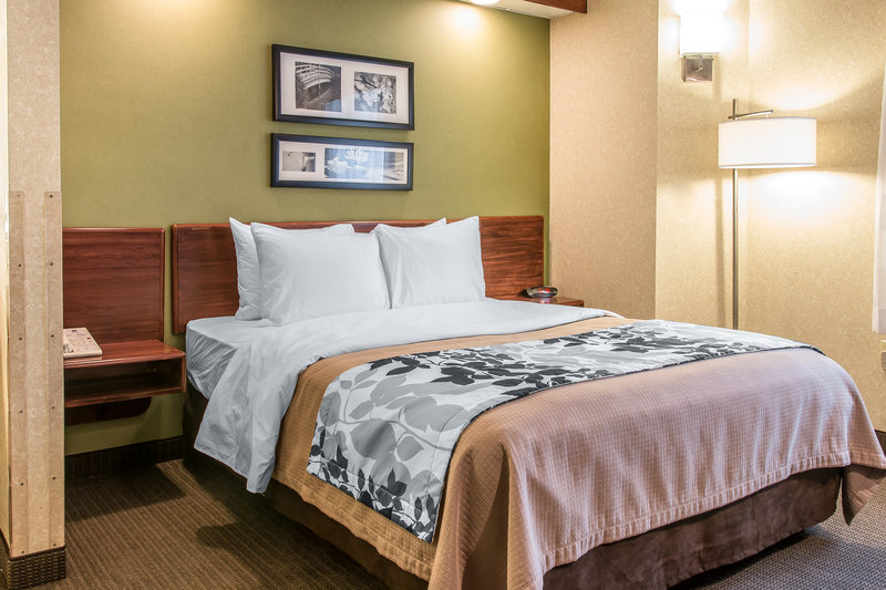 Sleep Inn - Flat Rock, MI