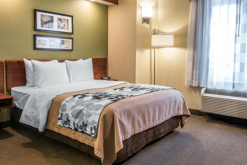 Sleep Inn - Flat Rock, MI