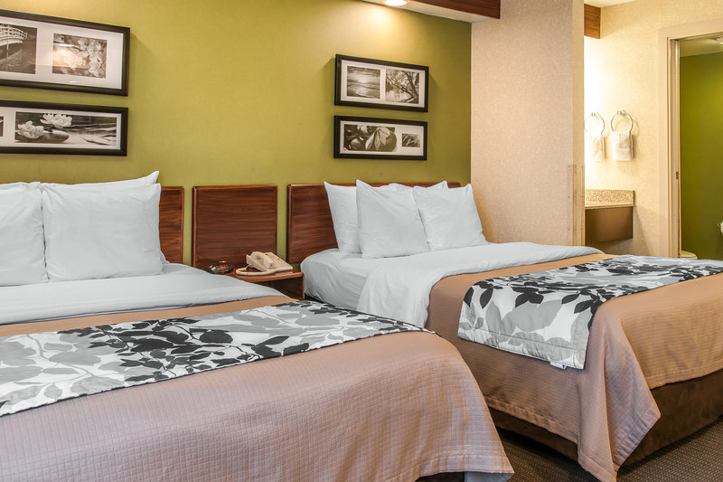 Sleep Inn - Flat Rock, MI