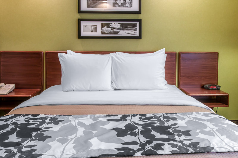 Sleep Inn - Flat Rock, MI