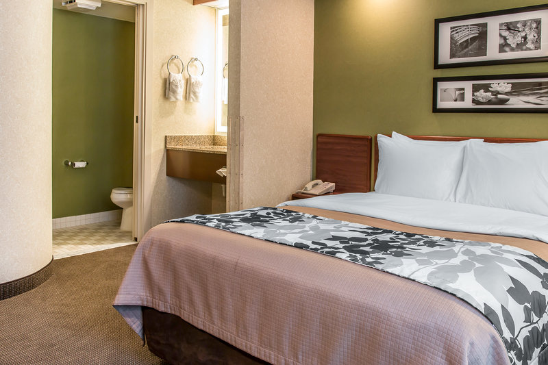Sleep Inn - Flat Rock, MI