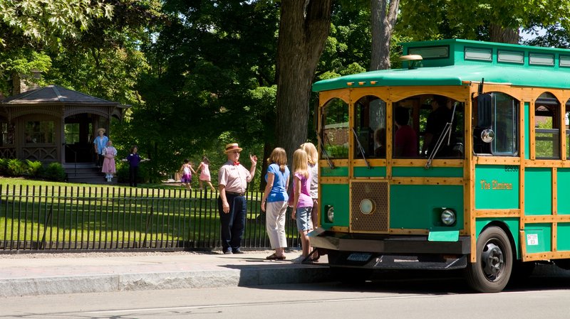 Holiday Inn Express ELMIRA-HORSEHEADS - Horseheads, NY