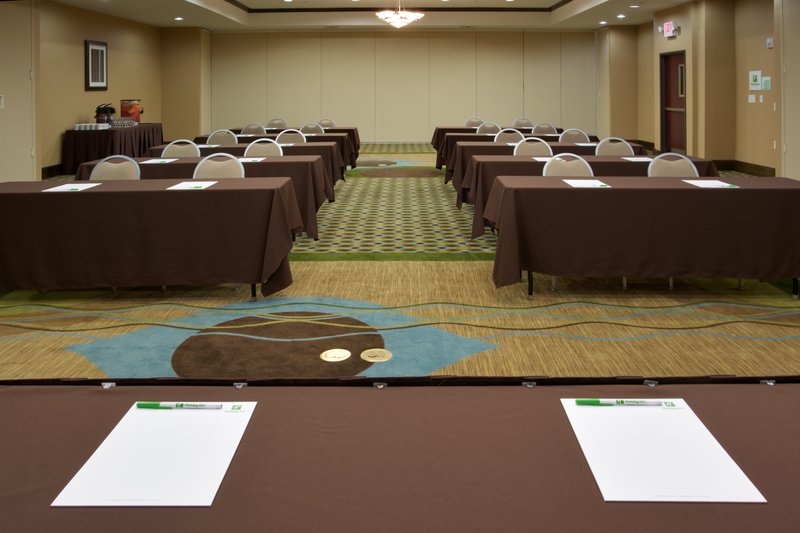 Holiday Inn HOUSTON-WEBSTER - Webster, TX