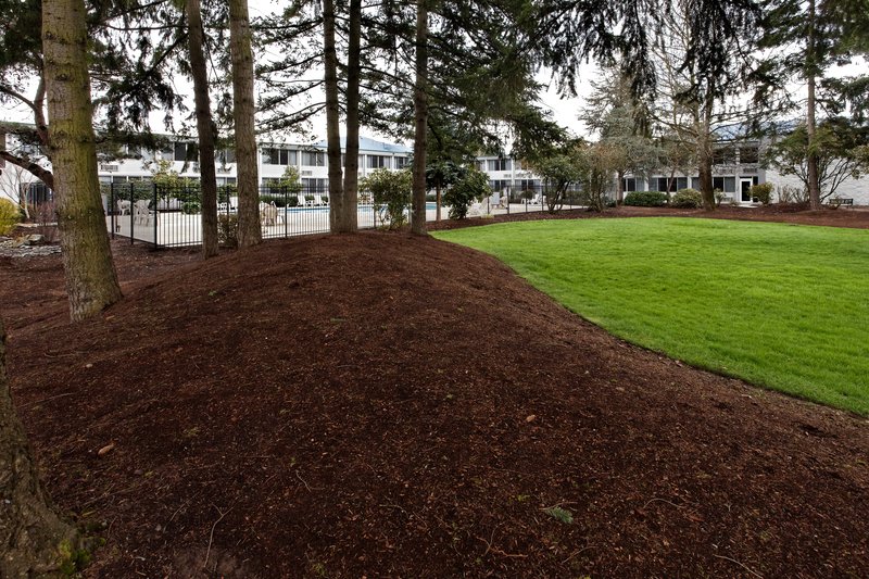 Holiday Inn - Issaquah, WA