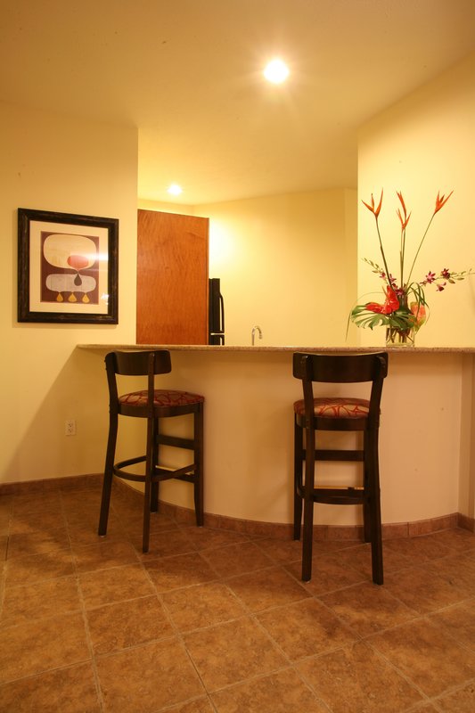 Holiday Inn OMAHA DOWNTOWN-AIRPORT - Omaha, NE