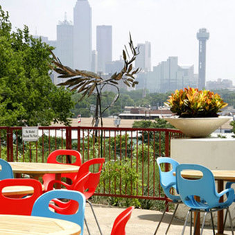 Belmont Hotel Dallas Hotels