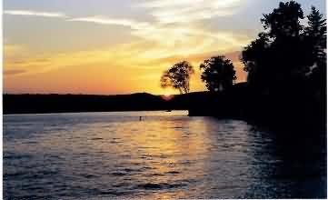 Estate Sales & Property Mgmt - Osage Beach, MO