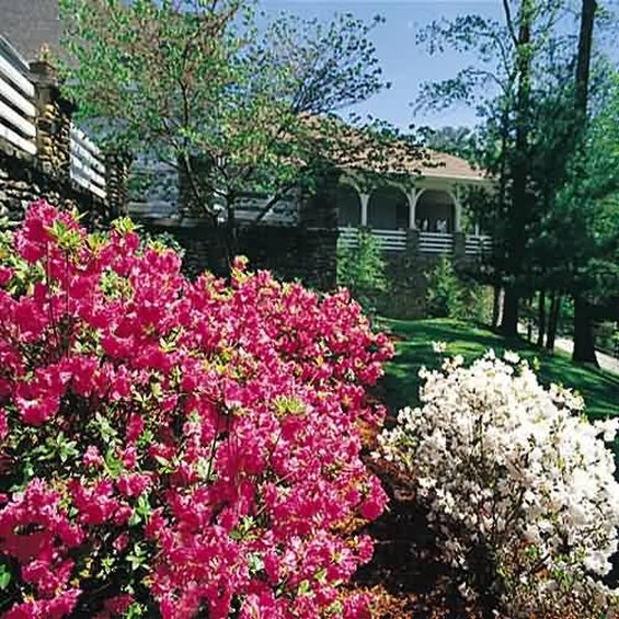 Pine Mountain State Resort - Pineville, KY