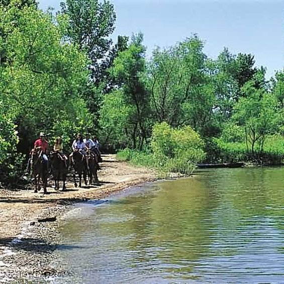 Barren River Lake Resort Lodge and Cottages - Lucas, KY