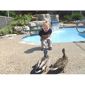 Resort at Port Arrowhead - Lake Ozark, MO