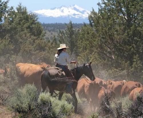 Long Hollow Ranch - Sisters, OR