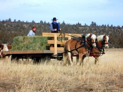 Long Hollow Ranch - Sisters, OR