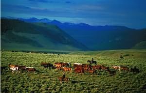 Laramie River Dude Ranch - Jelm, WY