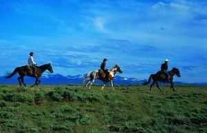 Laramie River Dude Ranch - Jelm, WY