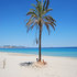 Hotel Club Bahamas Ibiza