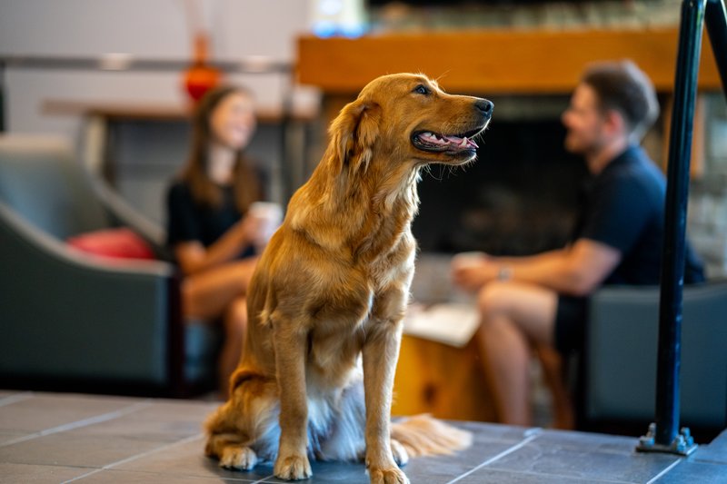 Whistler Village Inn and Suites