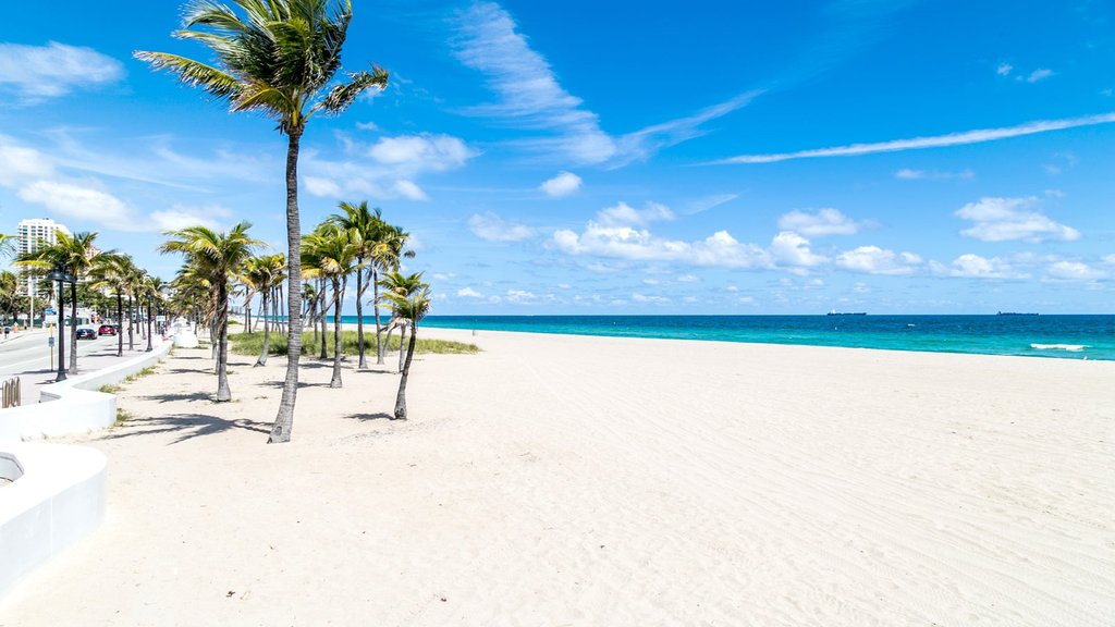 Holiday Inn Express & Suites FORT LAUDERDALE AIRPORT SOUTH by IHG