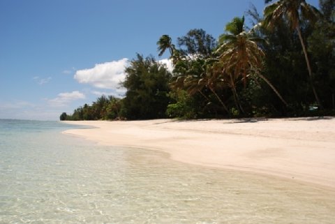 Puaikura Reef Lodges Rarotonga Hotel