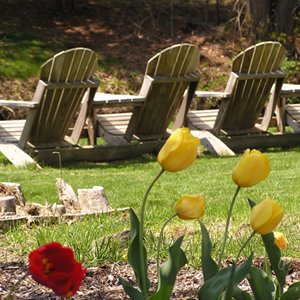 Centennial Apartments - Farmington, CT
