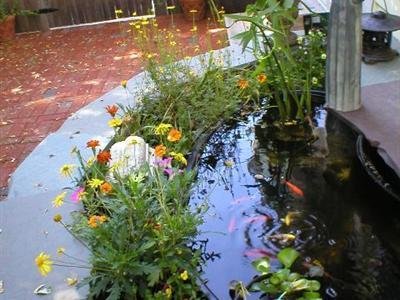 Stirling House Bed and Breakfast - Greenport, NY