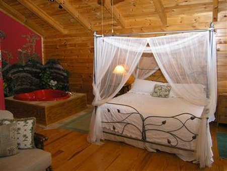 Black Forest B&B and Luxury Cabins - Helen, GA