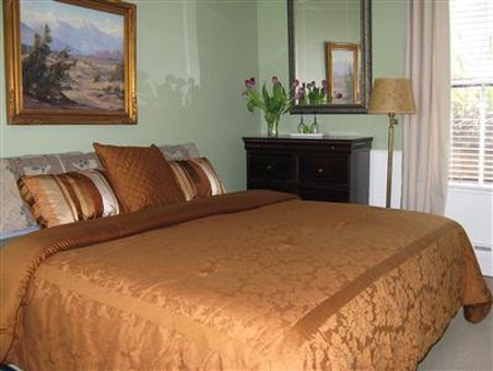 Prince Albert Guest House