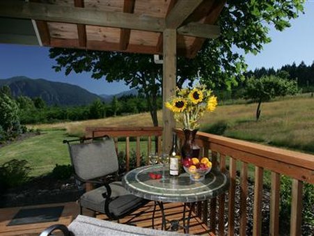 Carson Ridge Luxury Cabins - Carson, WA