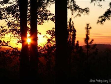 Sierra Sun Cloud Inn - Colfax, CA